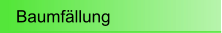 Baumf�llung