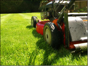 Gartenpflege Brauner Rasen m�hen