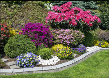 Gartenpflege Brauner Neuanpflanzung